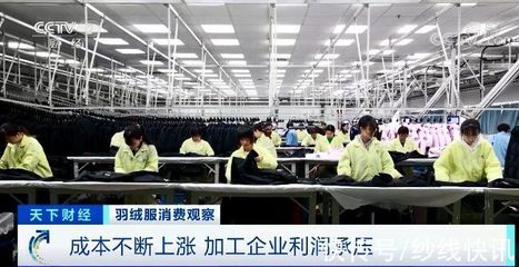 羽绒服轮番涨价，中高端反而卖断货 羽绒加工端的真实生意经