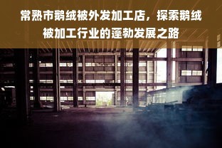 常熟市鹅绒被外发加工店 探索鹅绒被加工行业的蓬勃发展之路
