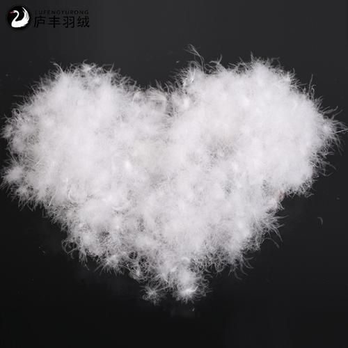 源头直供·精品全吊绒 高清洁度羽绒如何为您的产品赋能